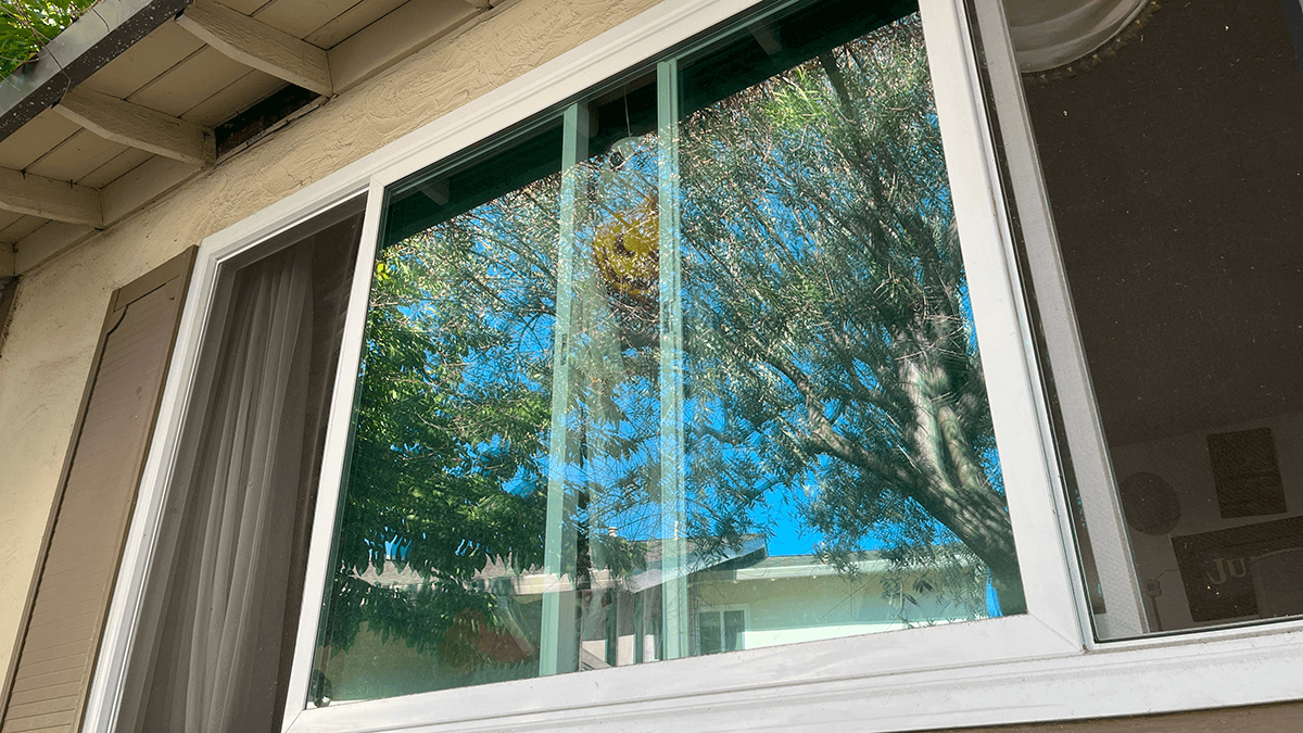 Gleeful ghost in the window