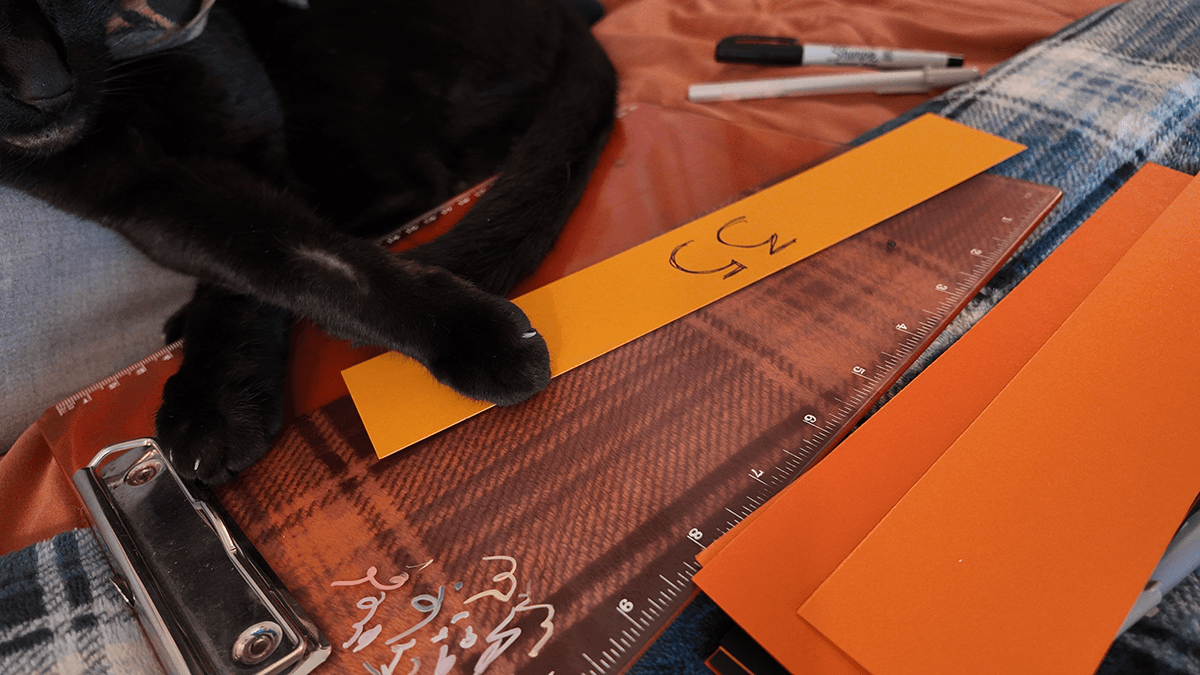 Scatcat "helping" with paper chain crafting