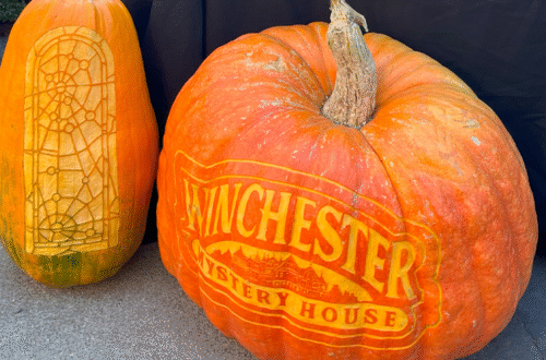 little pumpkin harvest fest