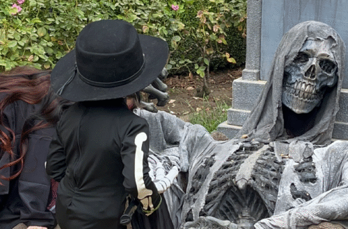 Trick or Treat Trail 2024