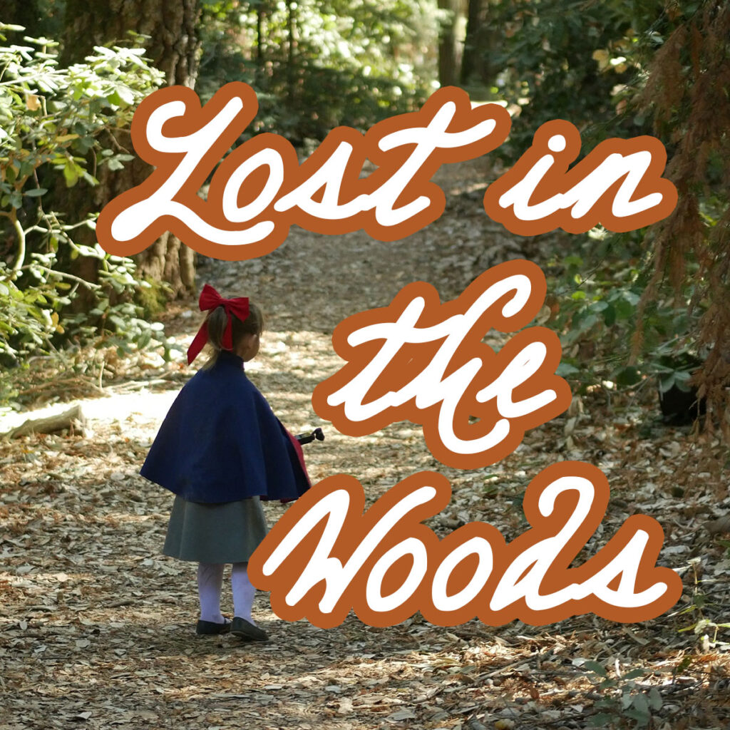 lost in the woods playlist cover