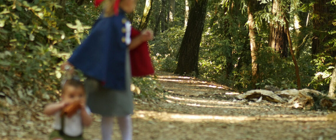 Lost in the Woods Playlist