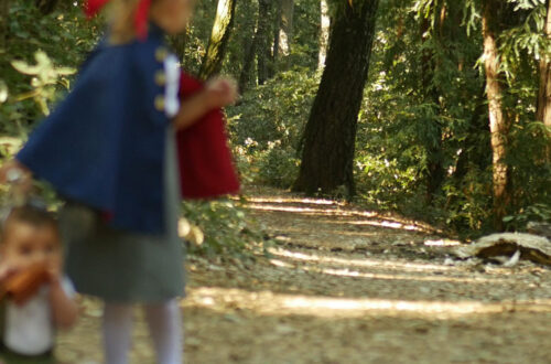 Lost in the Woods Playlist