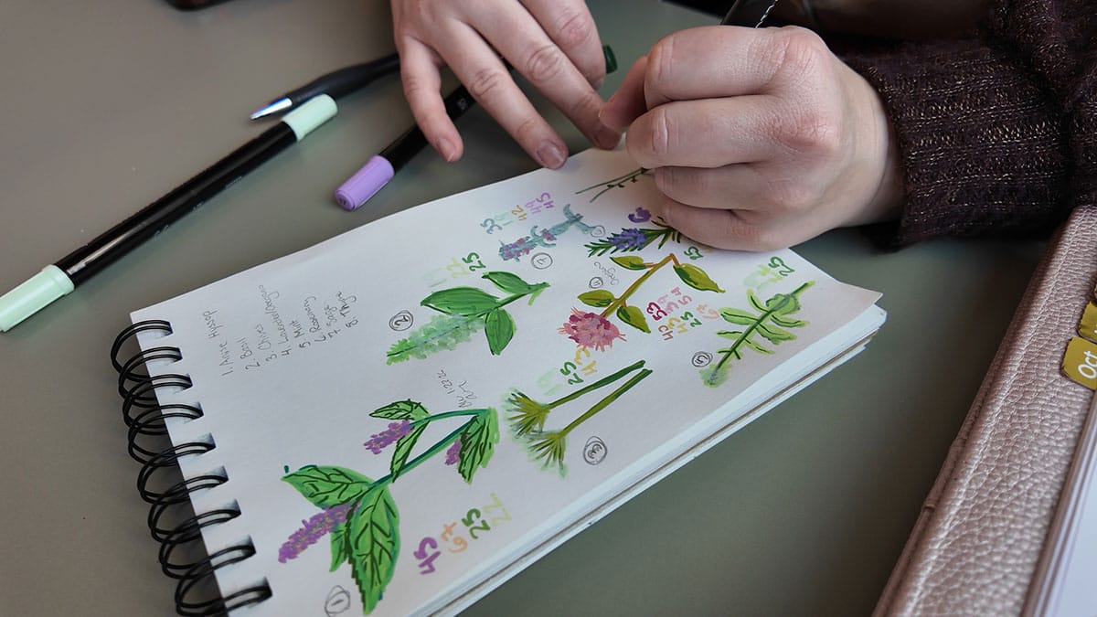 marker sketches of flowering herbs