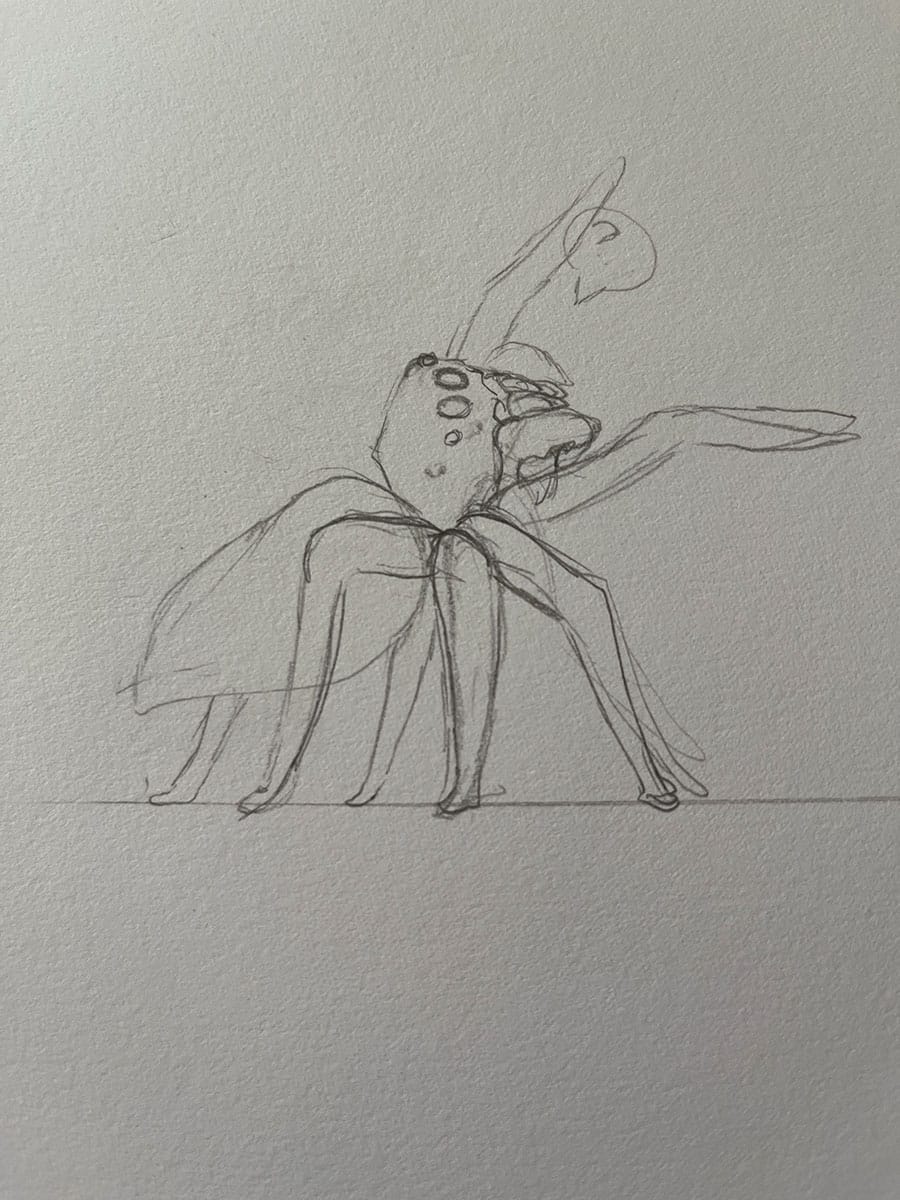 jumping spider sketched