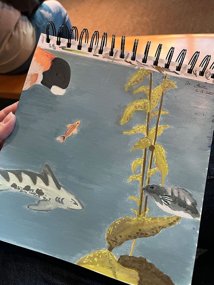 random fish in the kelp forest exhibit